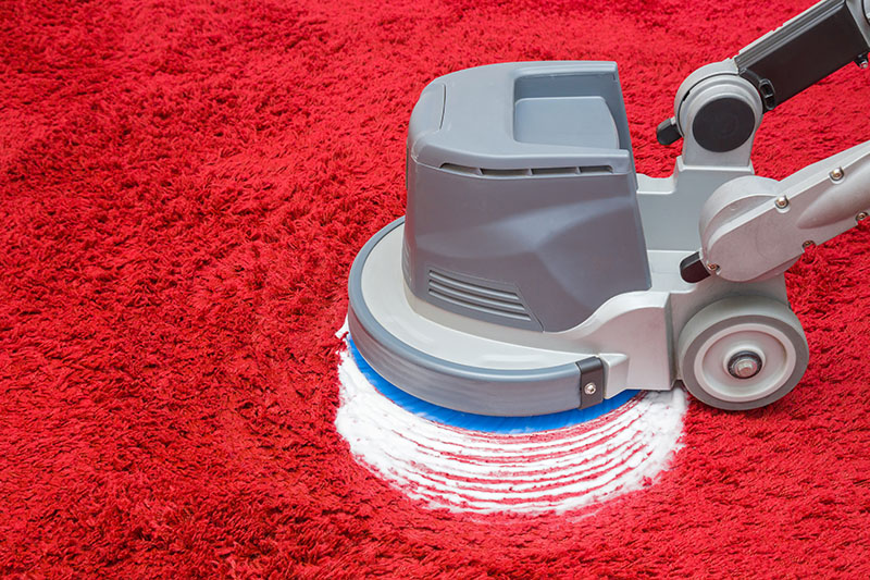 Guide to Carpet Cleaning Keep Your Carpets in Top Shape