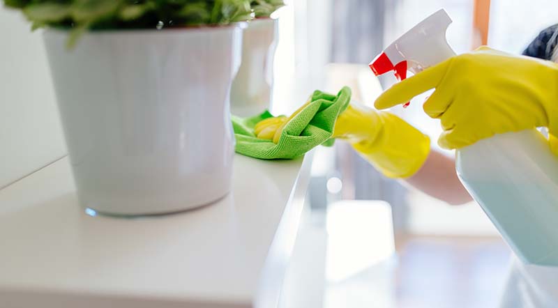 House Cleaning Services in Las Vegas NV