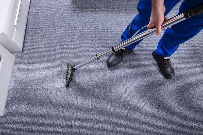 Guide to Carpet Cleaning Keep Your Carpets in Top Shape