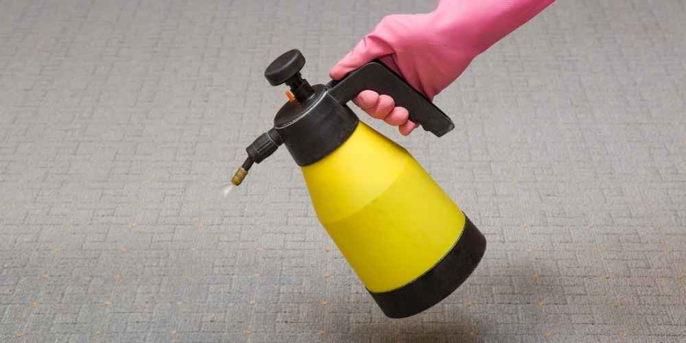 Carpet Cleaner Solutions for Disinfecting